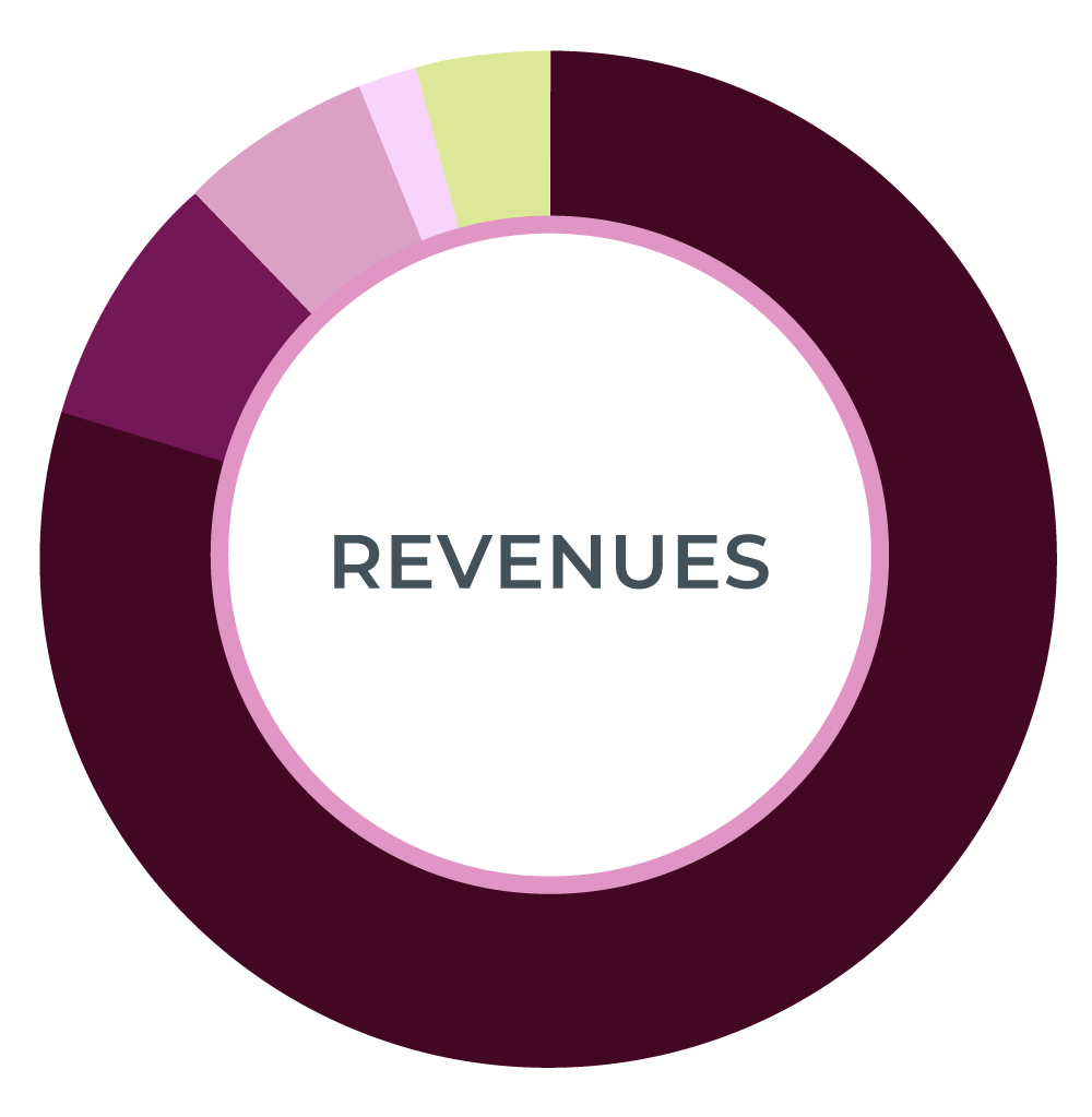 revenues chart