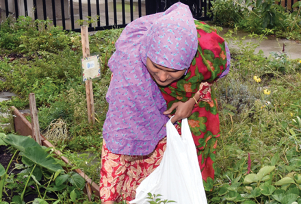 woman in community garden