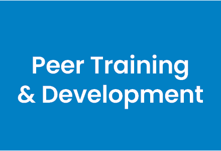Peer Training and Development