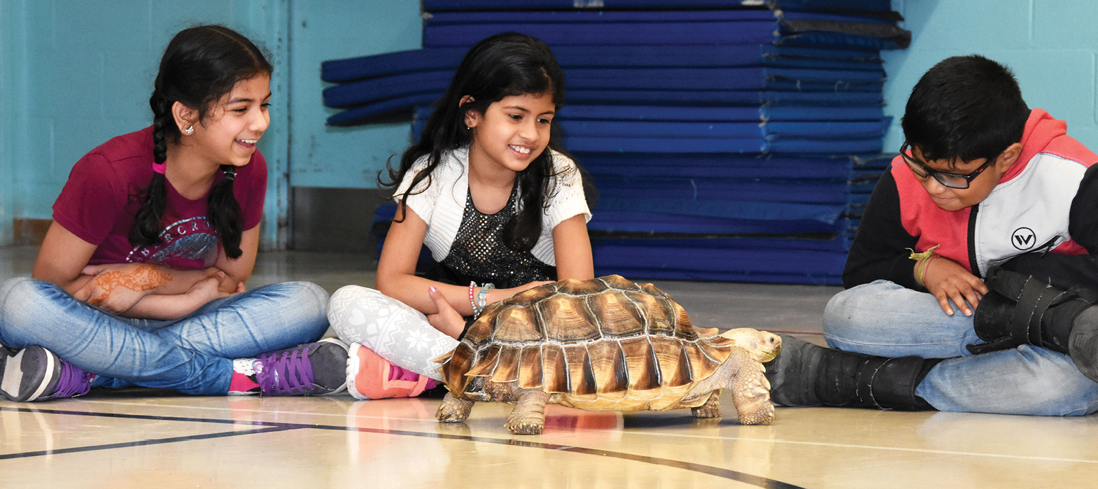 children watching a turtle during summer camp